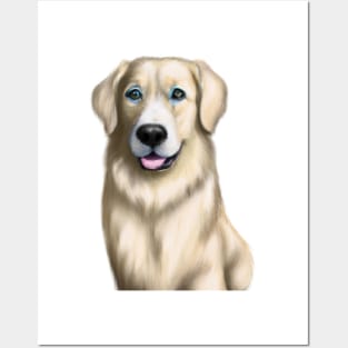 Cute Golden Retriever Drawing Posters and Art